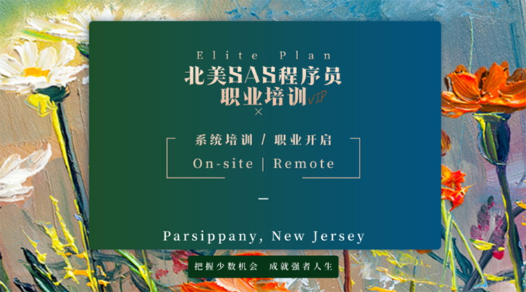 美国SAS程序员求职培训